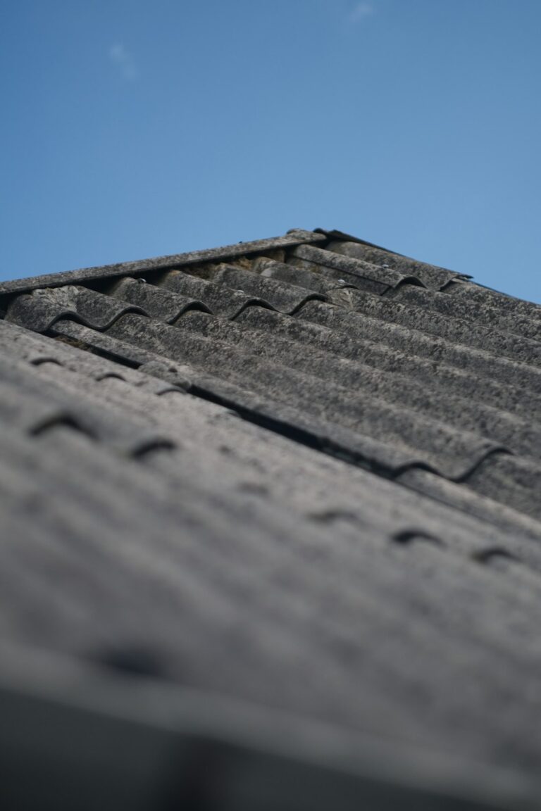 Sunlight falls across weathered shingles while loose granules collect in a roof gutter.
